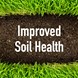 Munns_USP_improved_soil_heath.jpg (7)