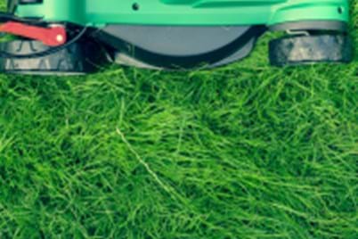 Guide on how to maintain a lawn sown by seed