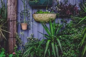 Tips for planting a vertical garden