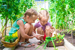 The importance of your school having a garden