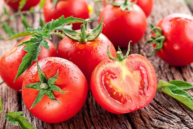 how to grow tomatoes 4 (1)