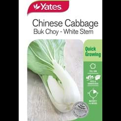 Chinese Cabbage Buk Choy - White Stem