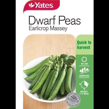 dwarf-peas-earlicrop-massey