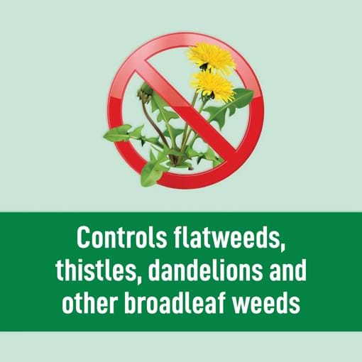 Munns_USP_Buffalo_Weed_n_feed_controls_weeds_icon.jpg (2)