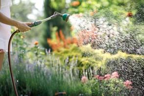 Ways to Save Water in the Garden